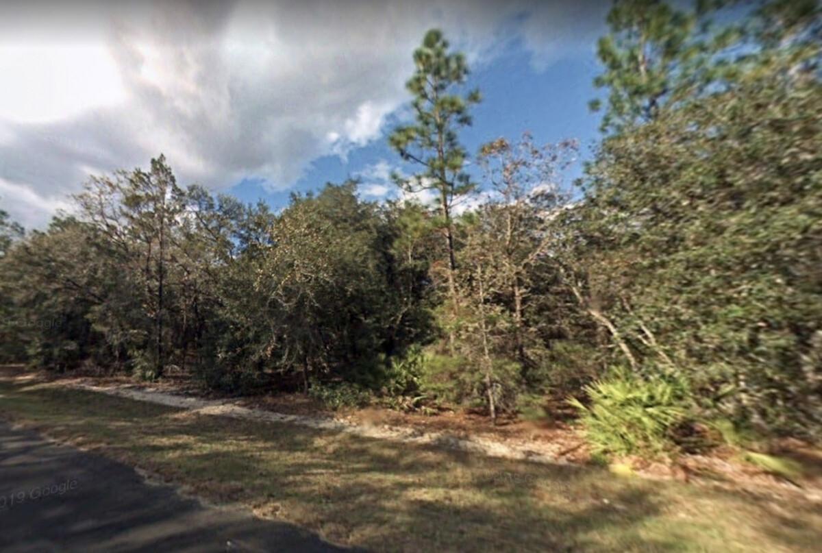 0.22 Acres for Sale in Fort Mccoy, FL