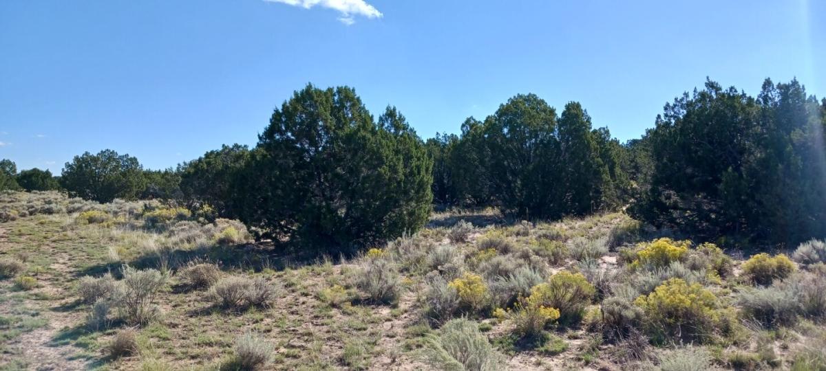  1.05 Acres for Sale in Saint Johns, Arizona