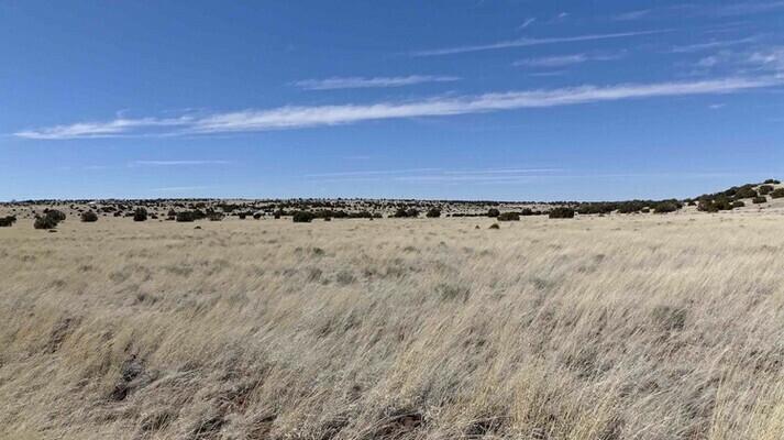  1.07 Acres for Sale in Concho, Arizona