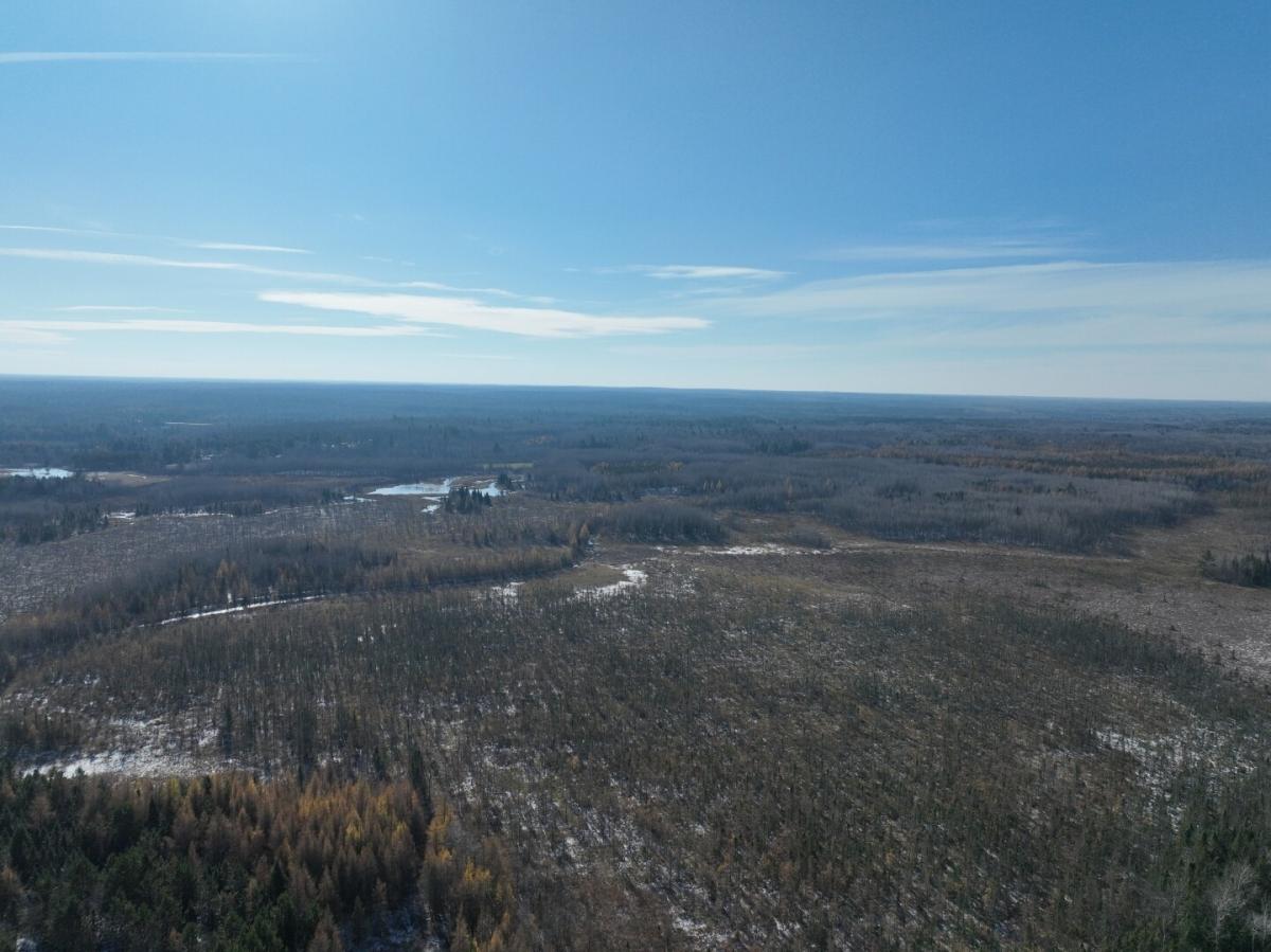 120 Acres for Sale in Winter, WI