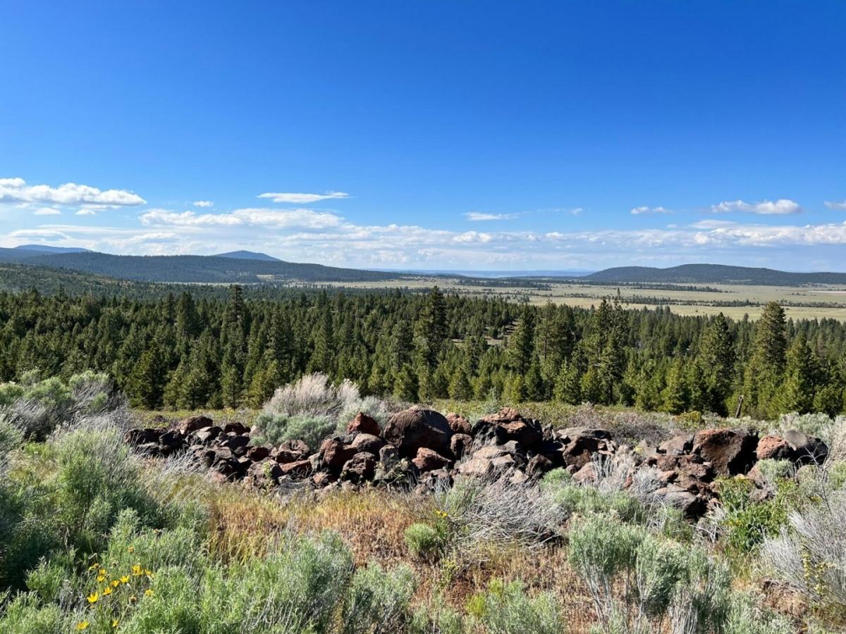  1.03 Acres for Sale in Alturas, California