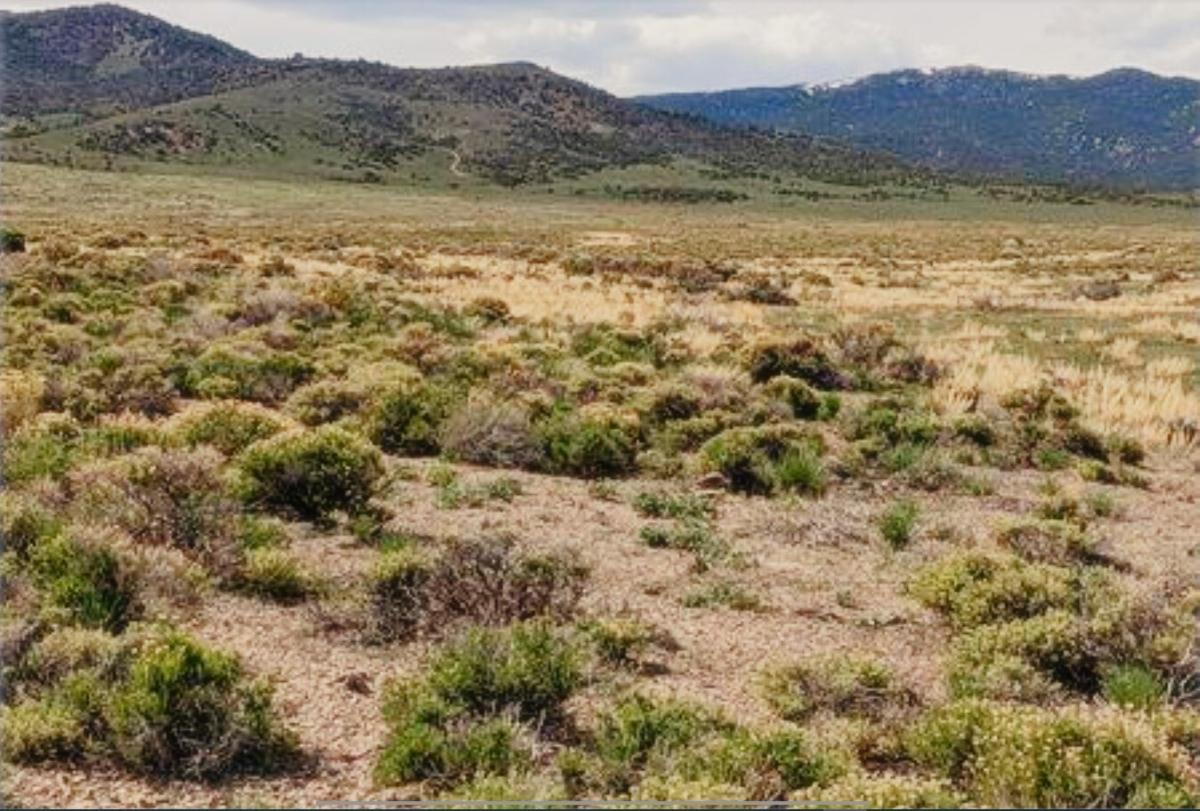  10 Acres for Sale in Montello, Nevada