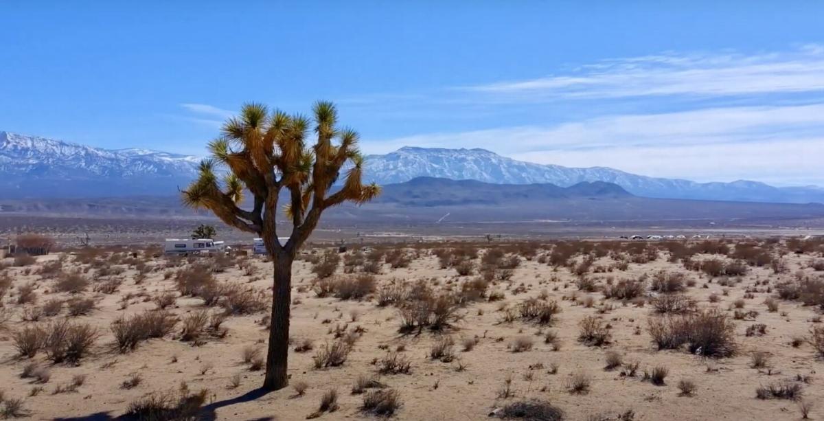  5 Acres for Sale in Lucerne Valley, California