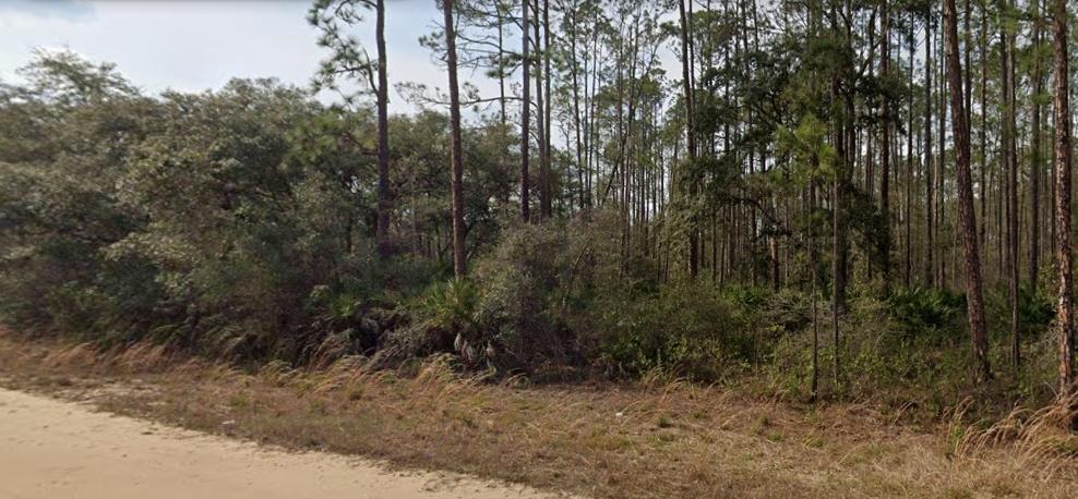 0.22 Acres for Sale in Interlachen, FL