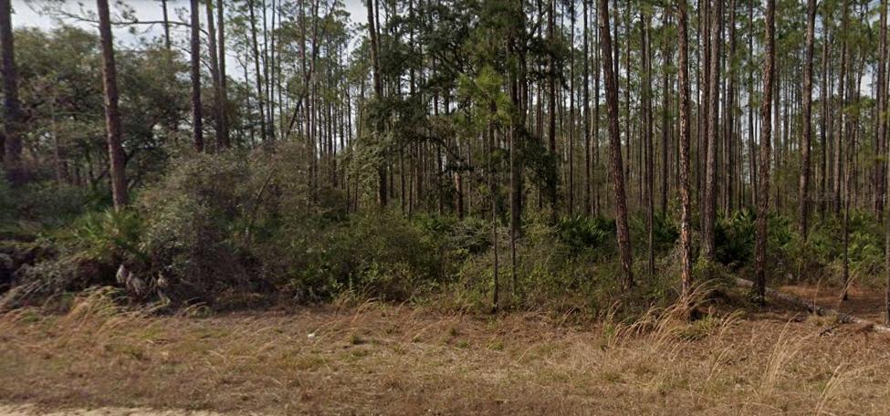 0.22 Acres for Sale in Interlachen, FL