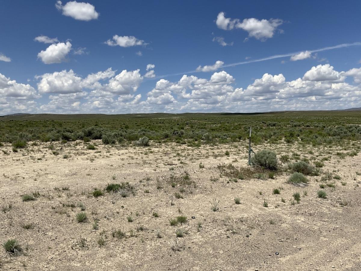  40 Acres for Sale in Elko, Nevada