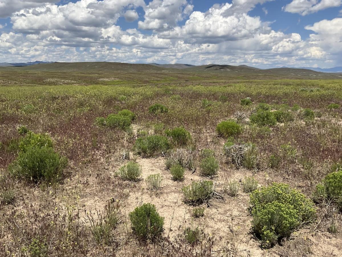  40 Acres for Sale in Elko, Nevada