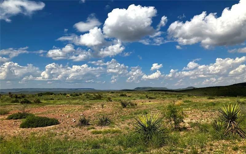  20 Acres for Sale in Presidio, Texas