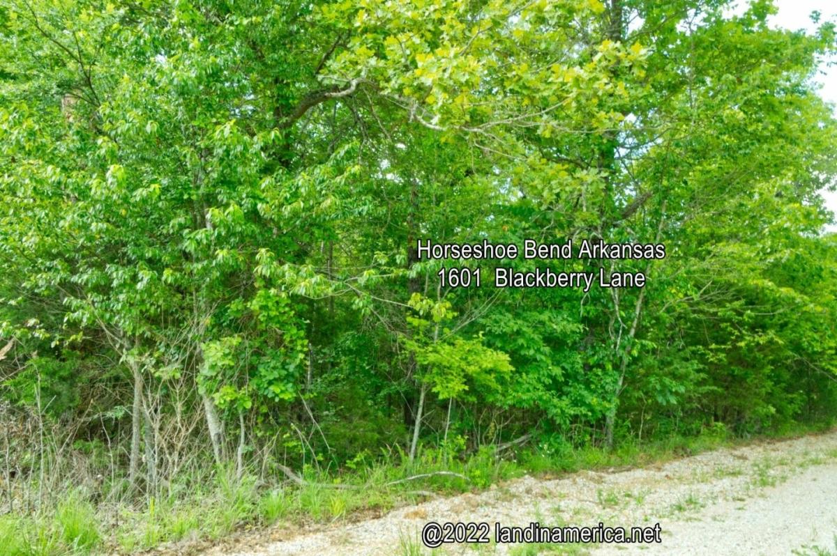  0.25 Acres for Sale in Horseshoe Bend, Arkansas