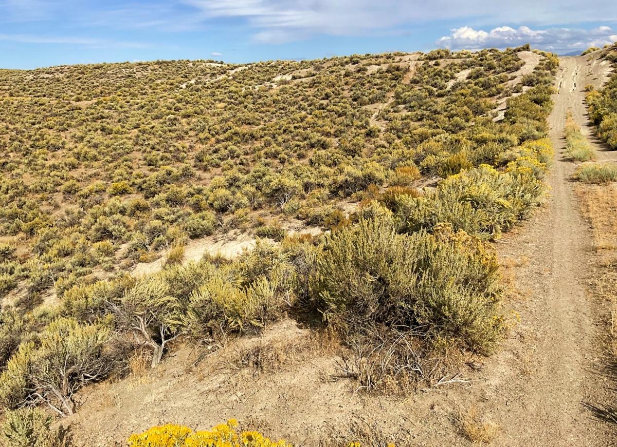  1.03 Acres for Sale in Salt Lake, Nevada