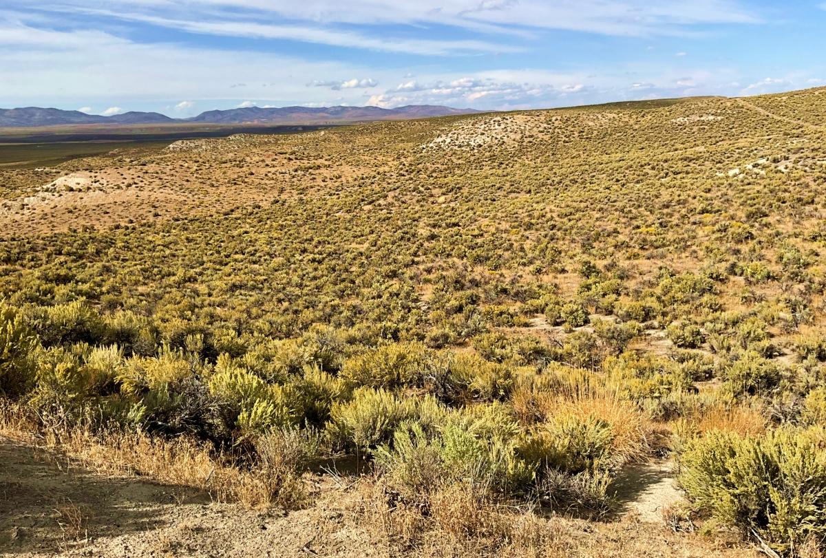  1.03 Acres for Sale in Salt Lake, Nevada