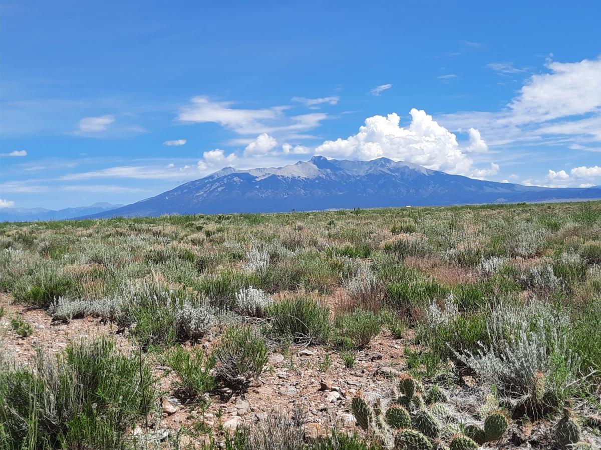  5 Acres for Sale in Sanford, Colorado