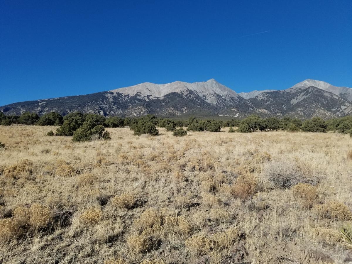  5 Acres for Sale in Sanford, Colorado