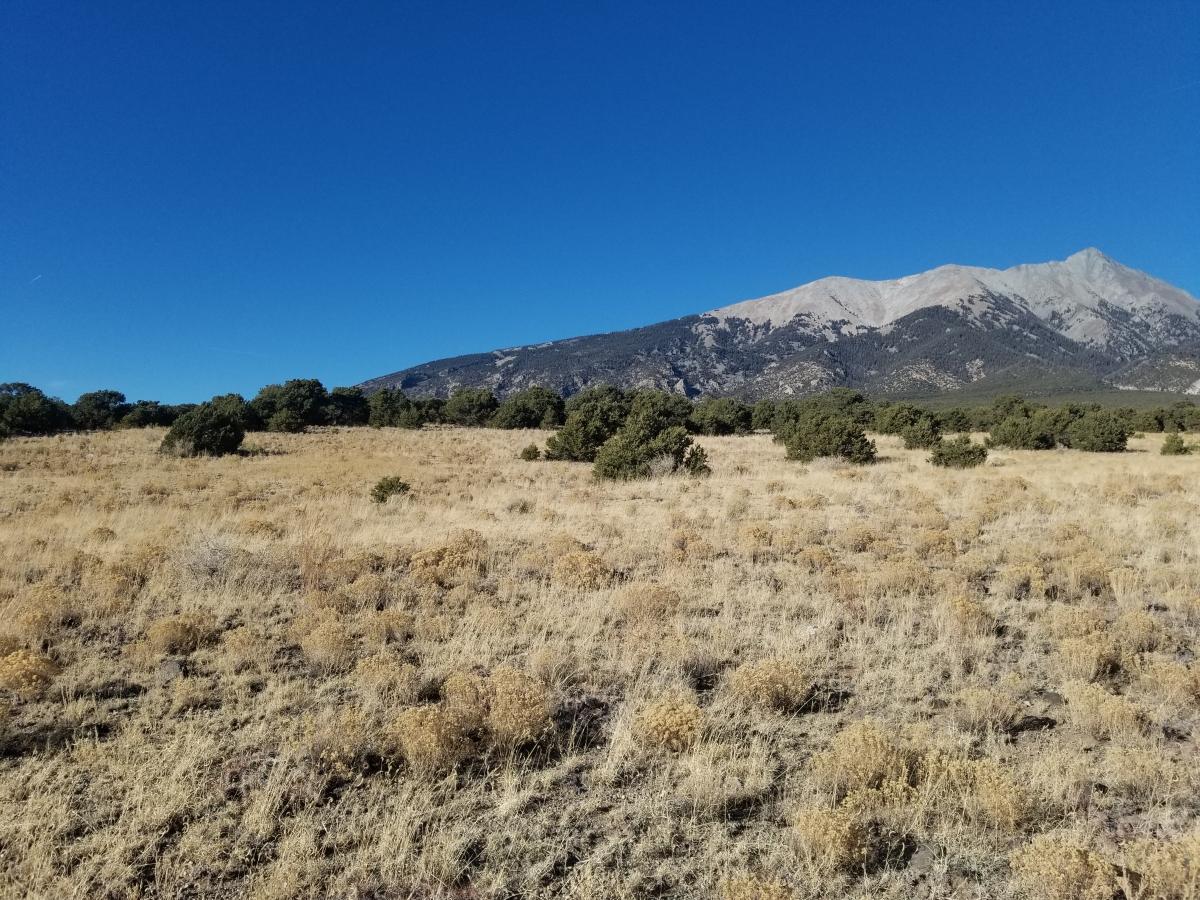  5 Acres for Sale in Sanford, Colorado