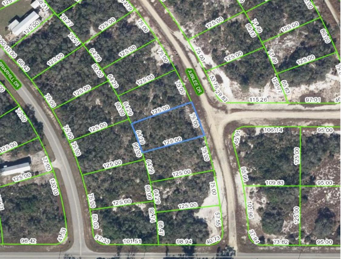  0.2 Acres for Sale in Lake Placid, Florida