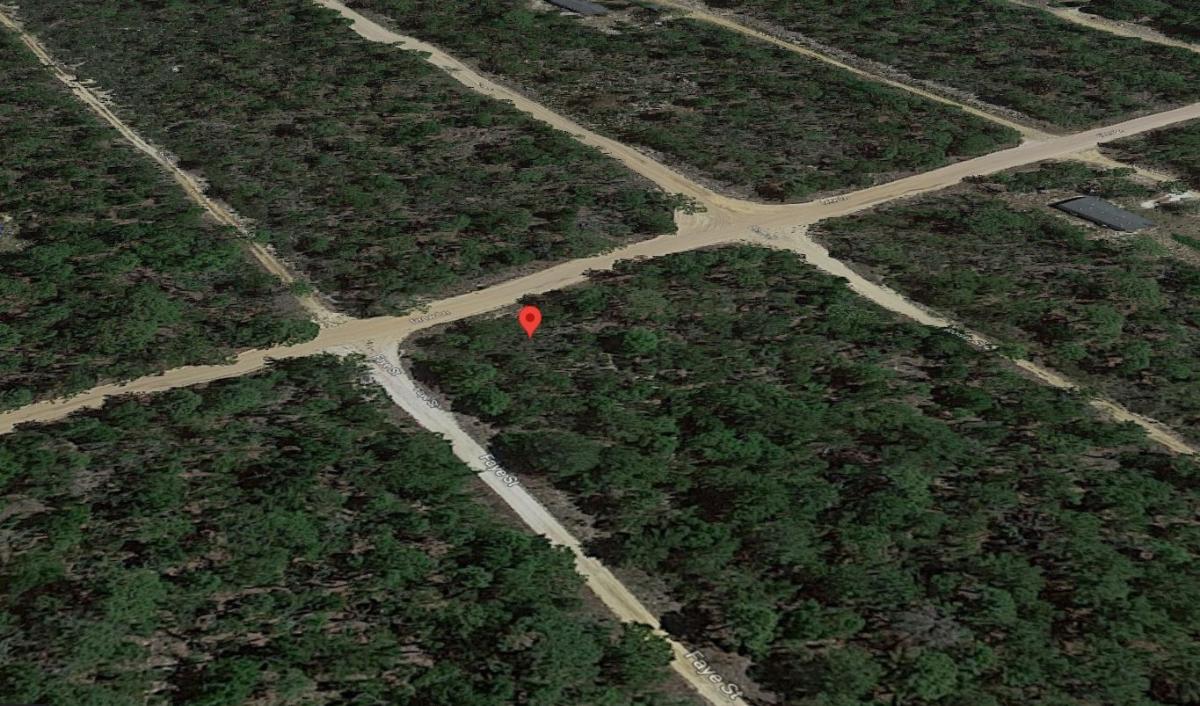  0.2 Acres for Sale in Interlachen, Florida