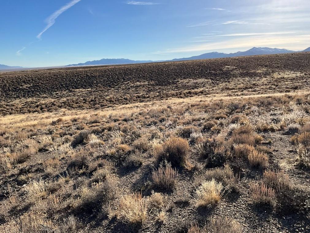  10 Acres for Sale in Montello, Nevada