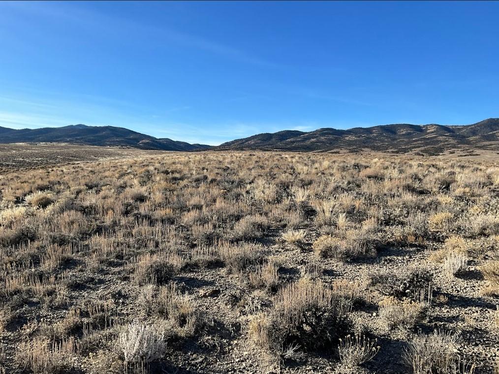  10 Acres for Sale in Montello, Nevada