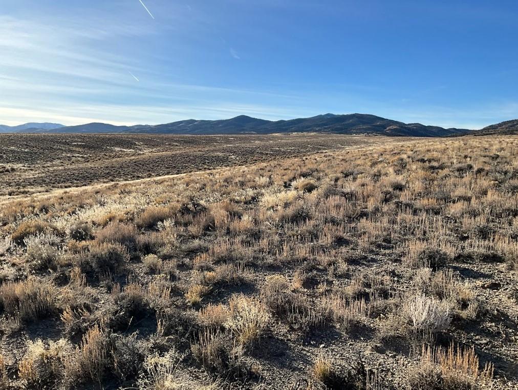  10 Acres for Sale in Montello, Nevada