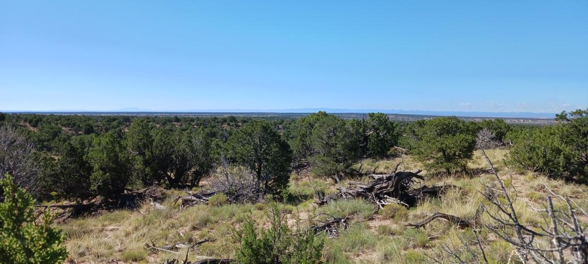  5 Acres for Sale in Saint Johns, Arizona