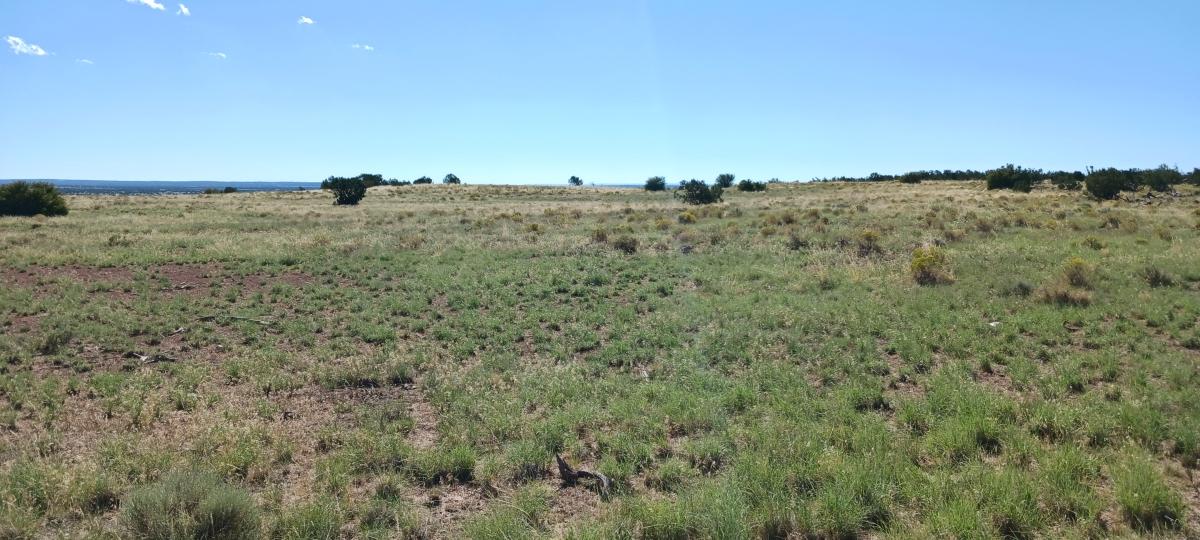  5 Acres for Sale in Saint Johns, Arizona