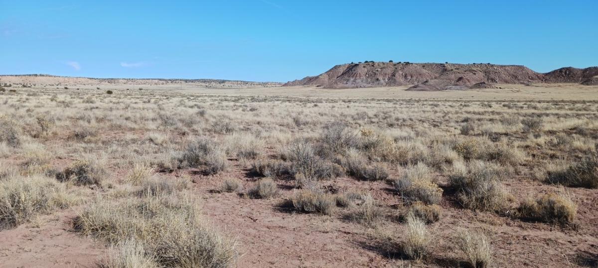  1.77 Acres for Sale in Chambers, Arizona