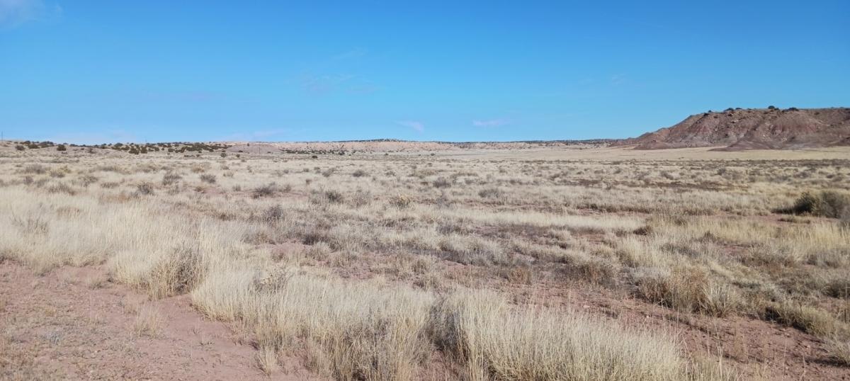  1.77 Acres for Sale in Chambers, Arizona