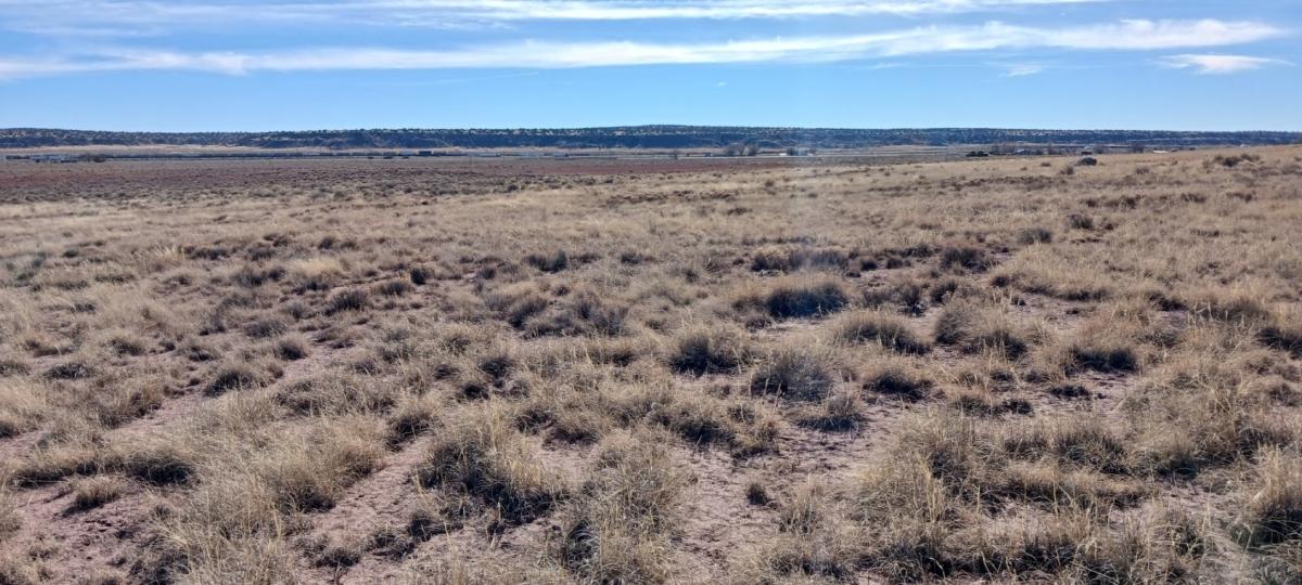  1.77 Acres for Sale in Chambers, Arizona