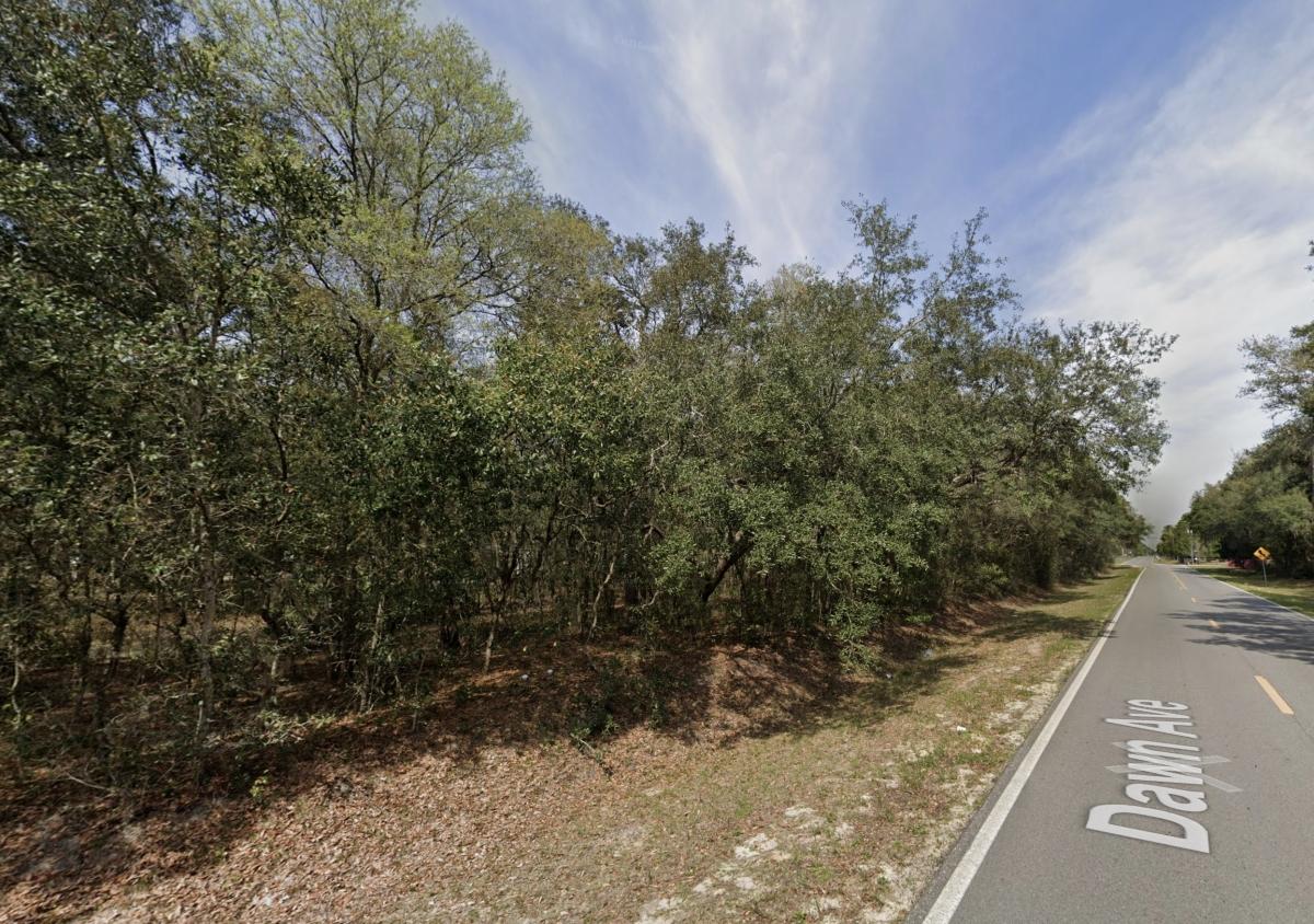  0.43 Acres for Sale in Interlachen, Florida