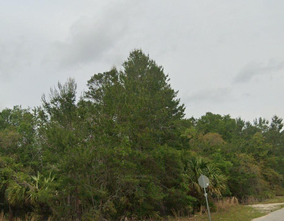  0.25 Acres for Sale in Satsuma, Florida