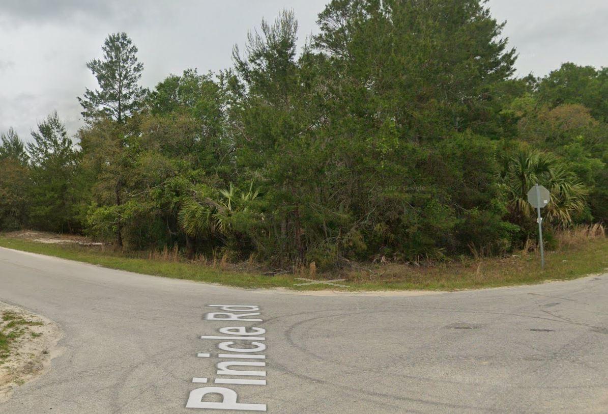  0.25 Acres for Sale in Satsuma, Florida