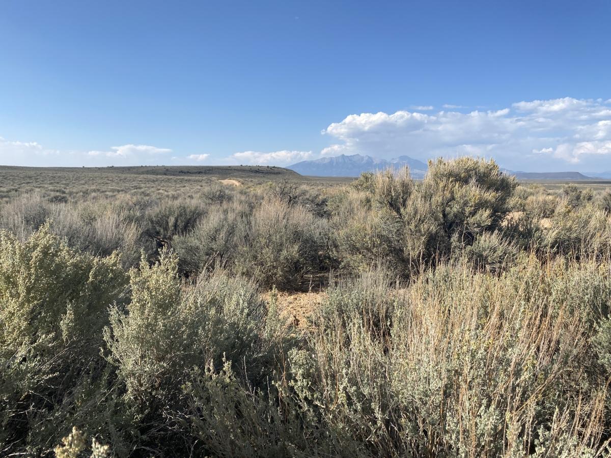  10 Acres for Sale in Mesita, Colorado