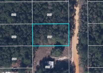  0.22 Acres for Sale in Interlachen, Florida