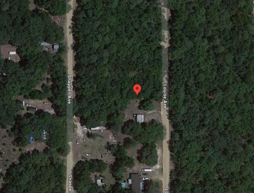  0.22 Acres for Sale in Interlachen, Florida