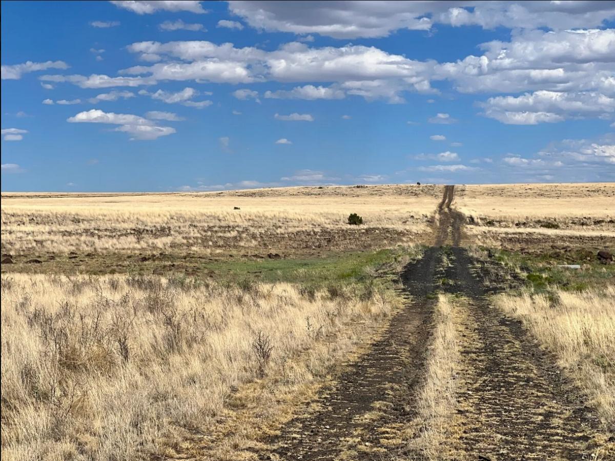  4.76 Acres for Sale in Concho, Arizona