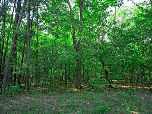  0.26 Acres for Sale in Harleton, Texas