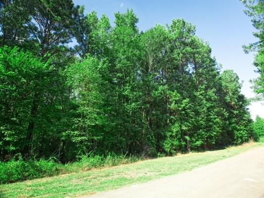  0.74 Acres for Sale in Harleton, Texas