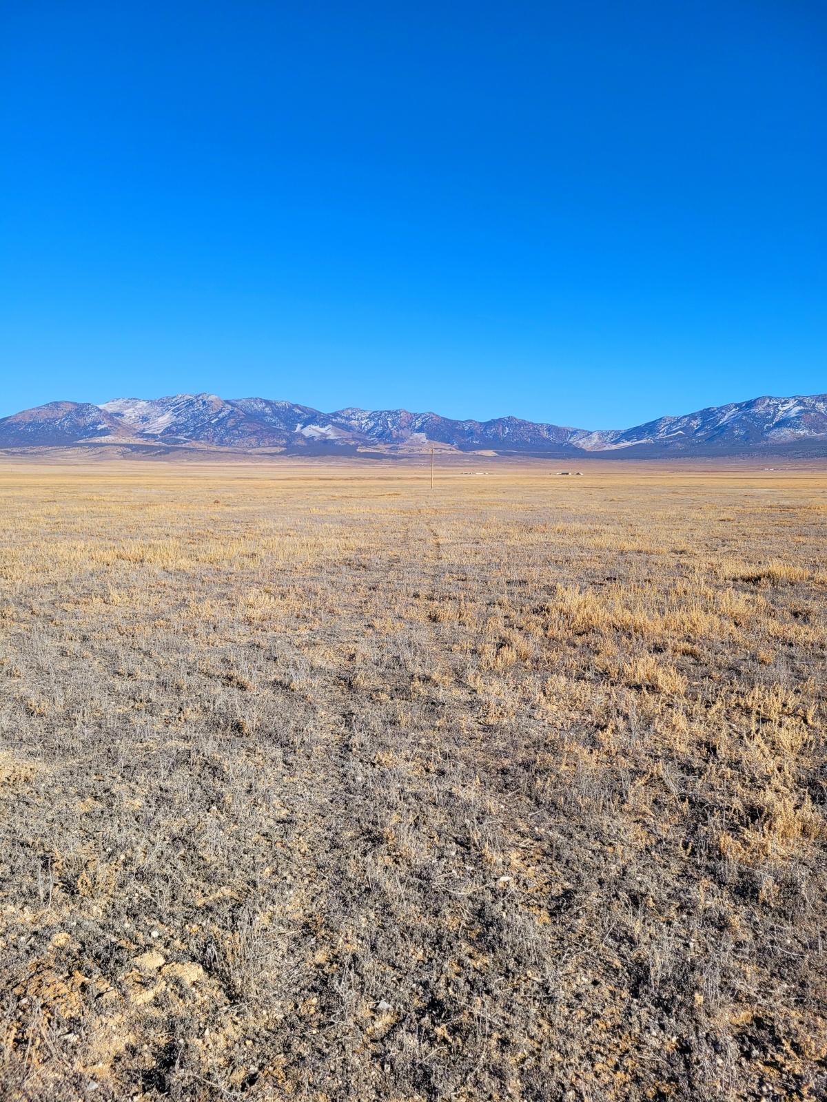  40 Acres for Sale in Montello, Nevada