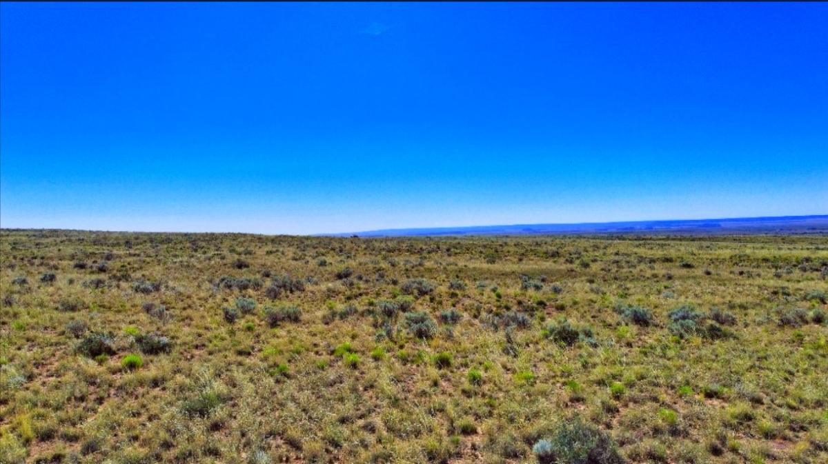  1.15 Acres for Sale in Adamana, Arizona