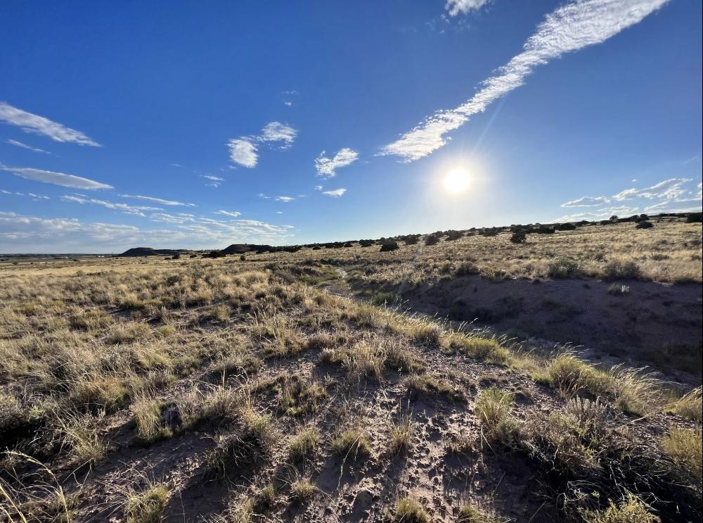  1 Acres for Sale in Sanders, Arizona