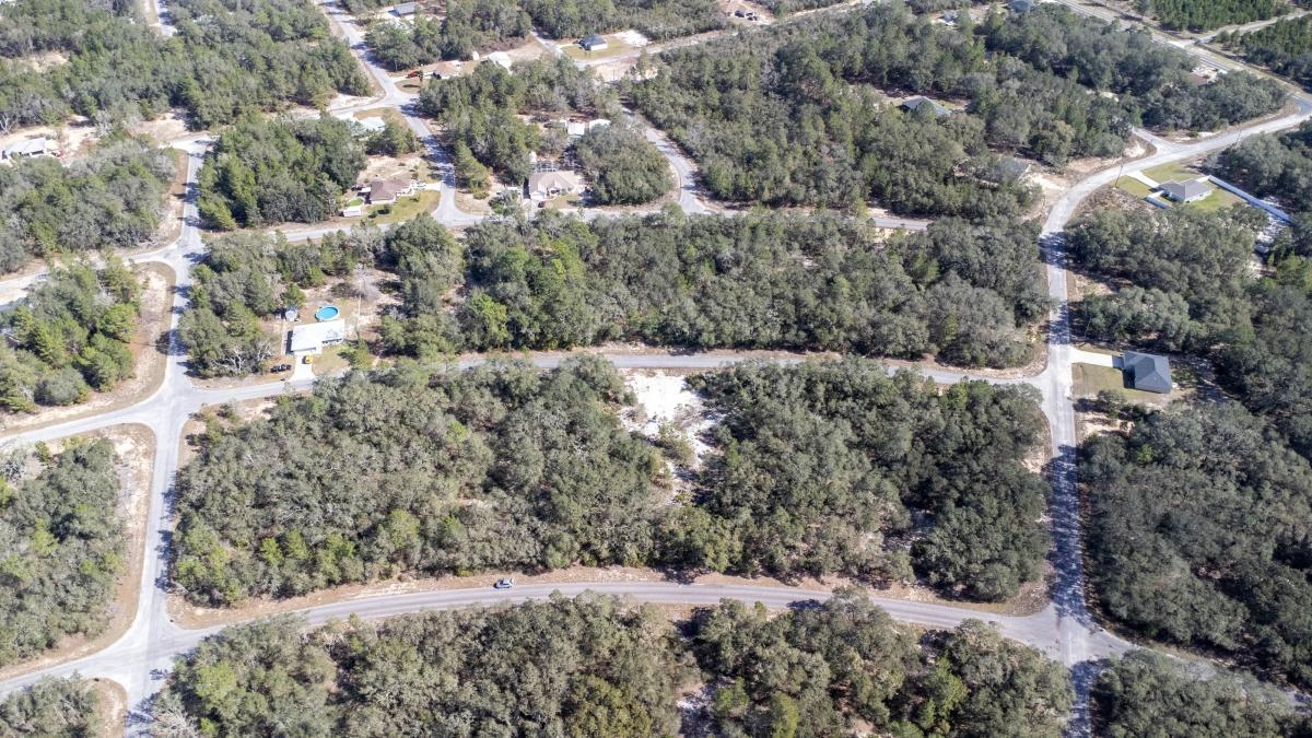  0.27 Acres for Sale in Ocklawaha, Florida