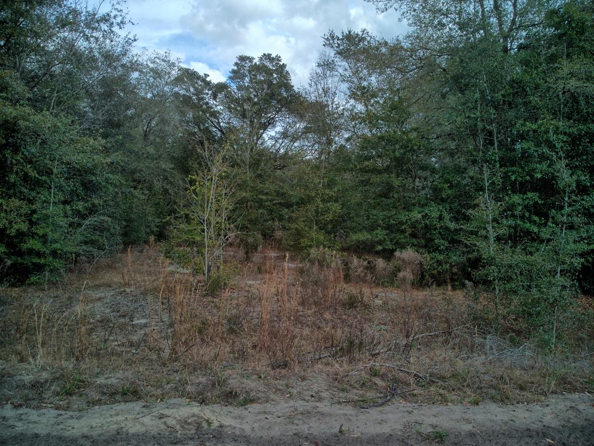  0.22 Acres for Sale in Interlachen, Florida