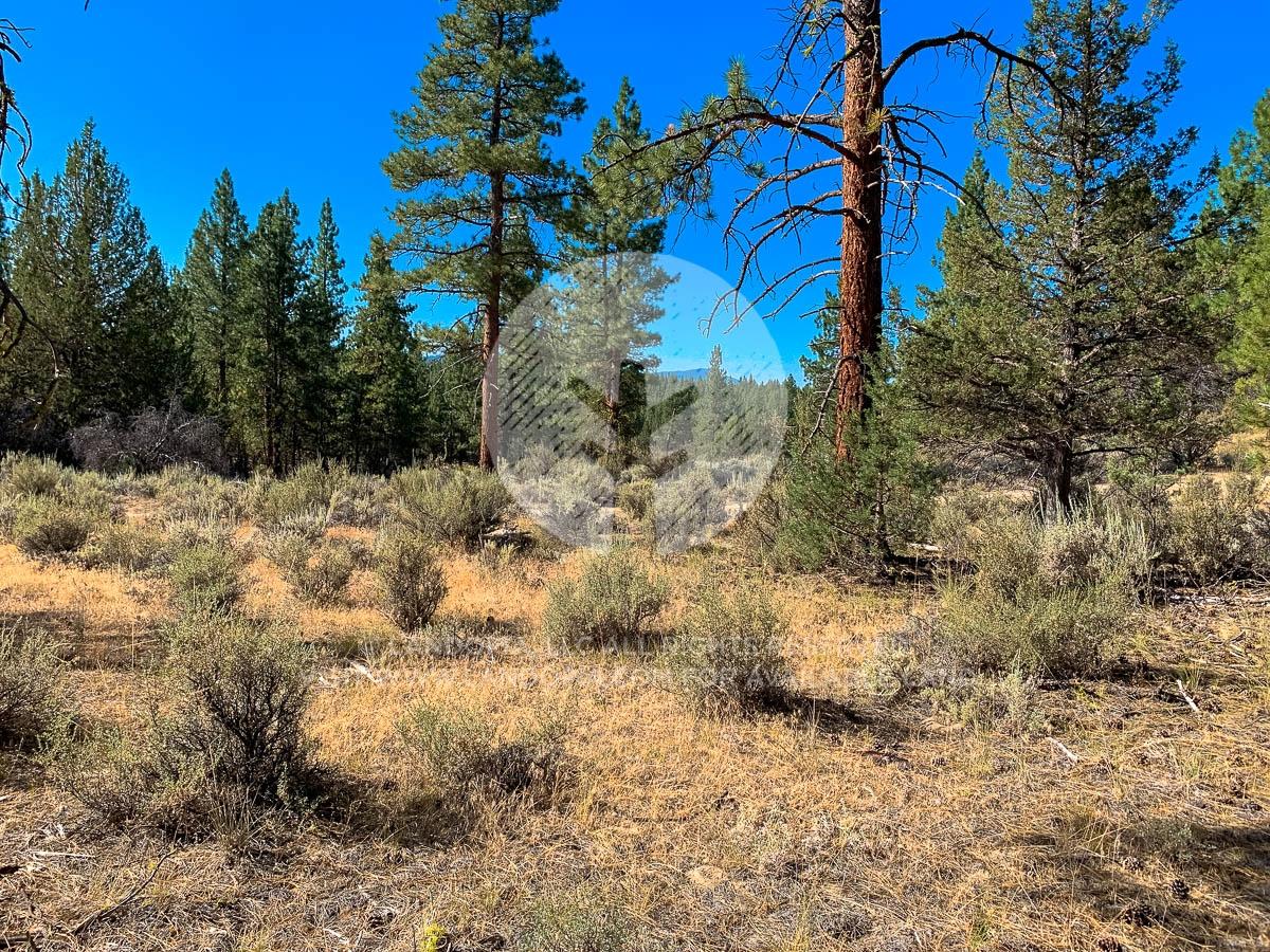  5.11 Acres for Sale in Beatty, Oregon