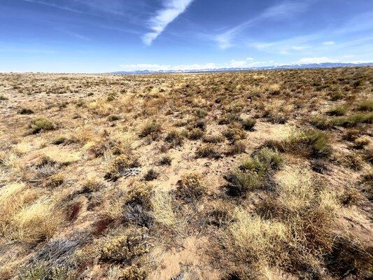  5.53 Acres for Sale in Sanford, Colorado