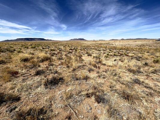  5.53 Acres for Sale in Sanford, Colorado