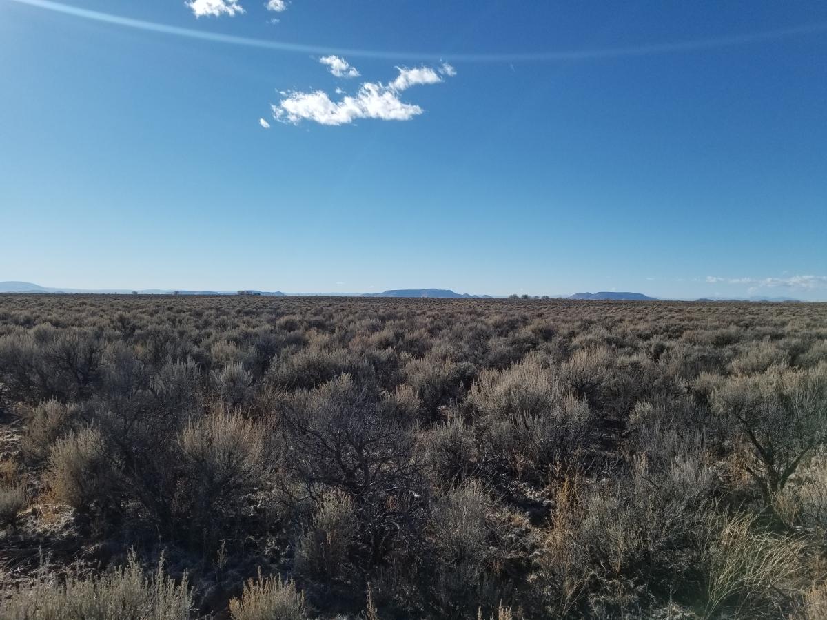  2.53 Acres for Sale in Mesita, Colorado