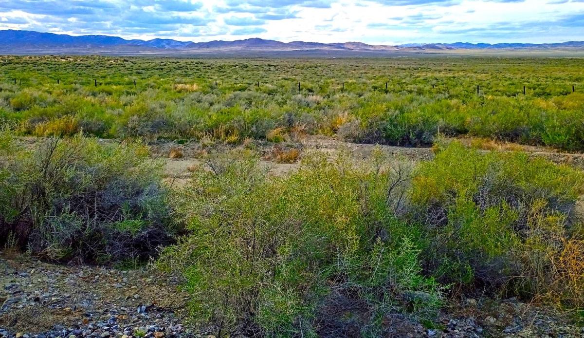  10 Acres for Sale in Montello, Nevada