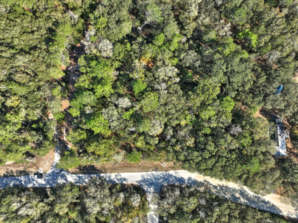  0.31 Acres for Sale in Fort McCoy, Florida