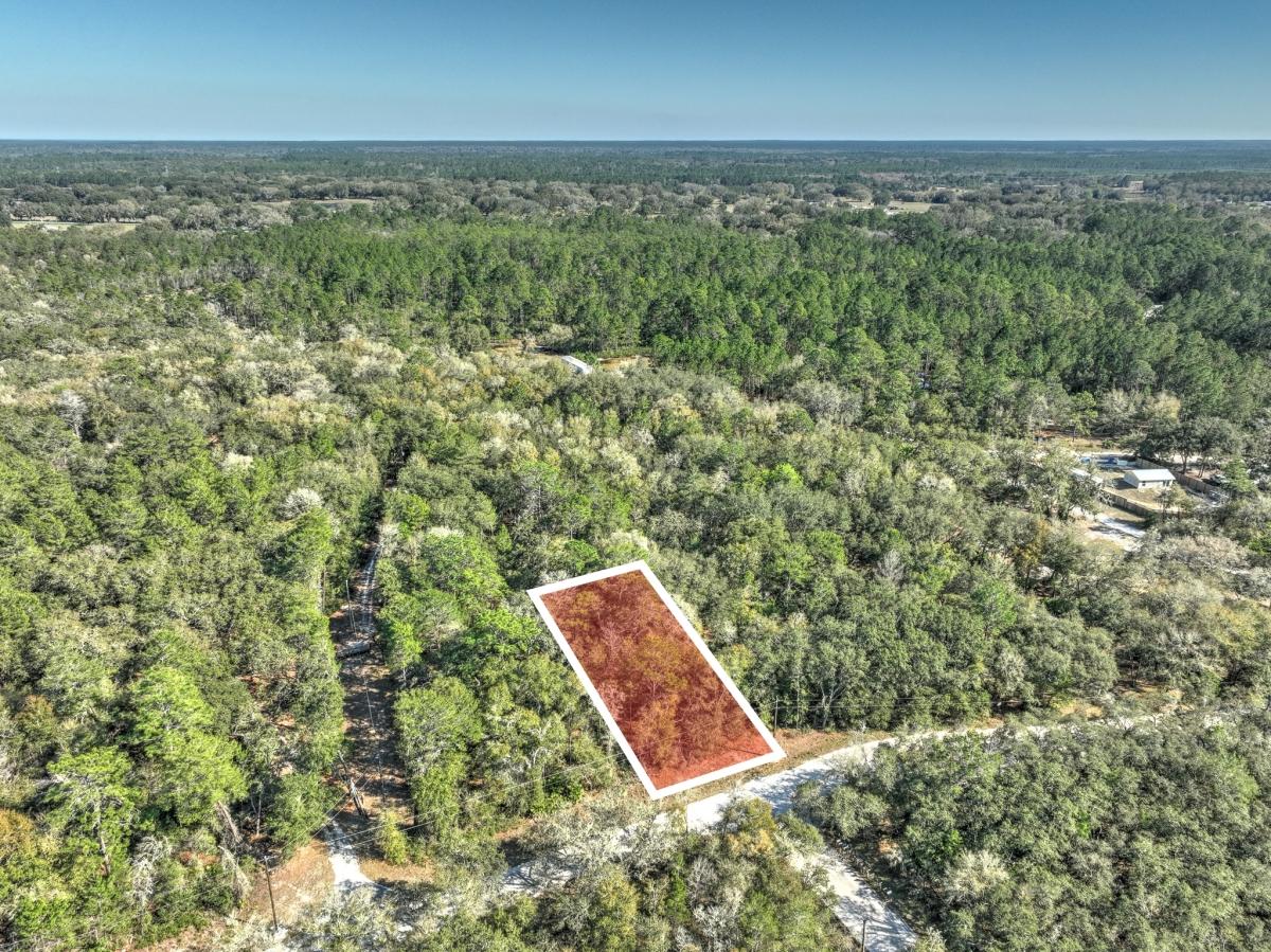  0.31 Acres for Sale in Fort McCoy, Florida