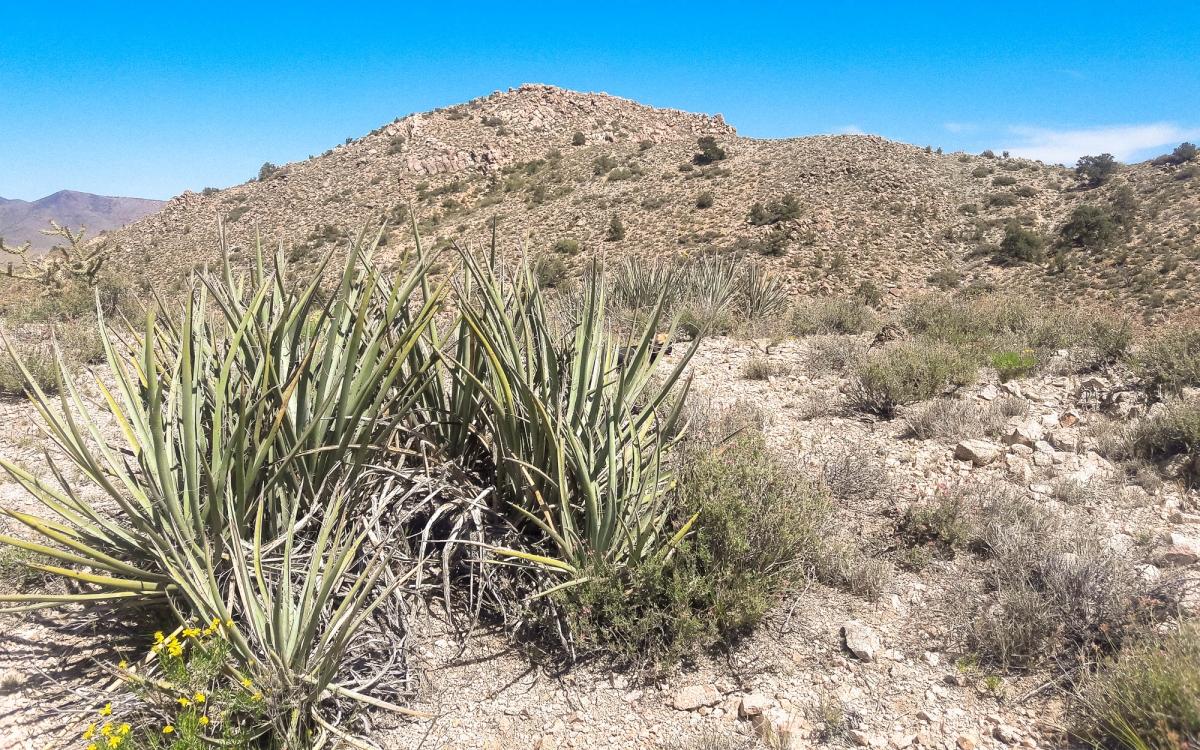  46.30 Acres for Sale in Hackberry, Arizona